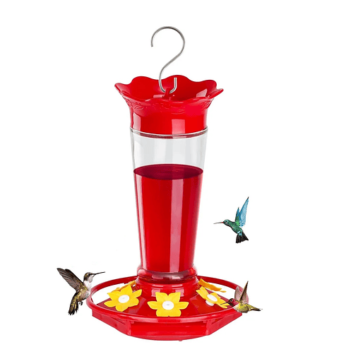 Bebedero Colibríes Aves Jardín Botella en Vidrio 10oz