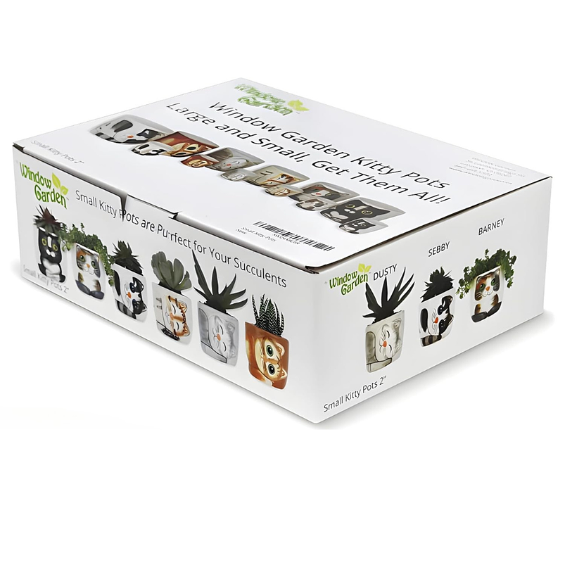 Macetas Ceramica Diseño Gatos Ideal Para Suculentas y Cactus x 6 Unidades 10