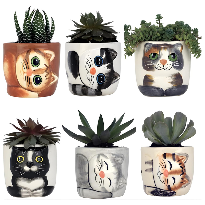 Macetas Ceramica Diseño Gatos Ideal Para Suculentas y Cactus x 6 Unidades 1