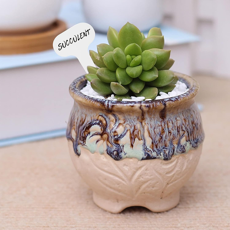 Etiquetas De Plantas, Plástica Marcar Bandeja de Vivero x50 6