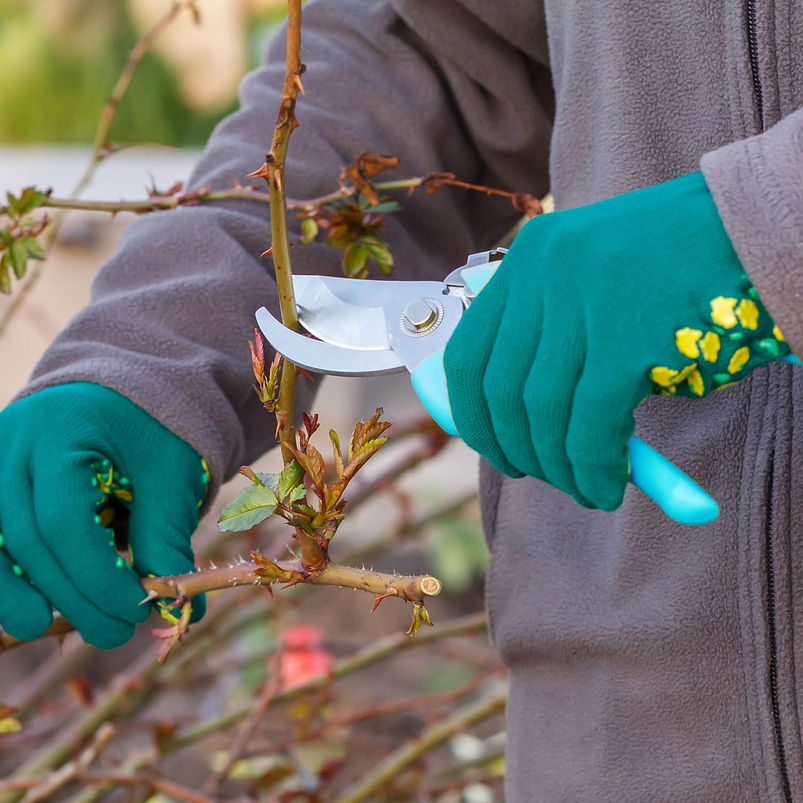 Tijera de Poda Para Plantas - Jardinería Hoja En Acero 12
