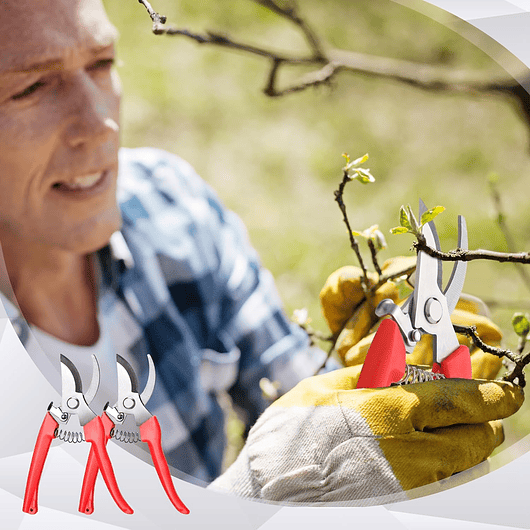 Tijera de Poda Para Plantas - Jardinería Hoja En Acero 21