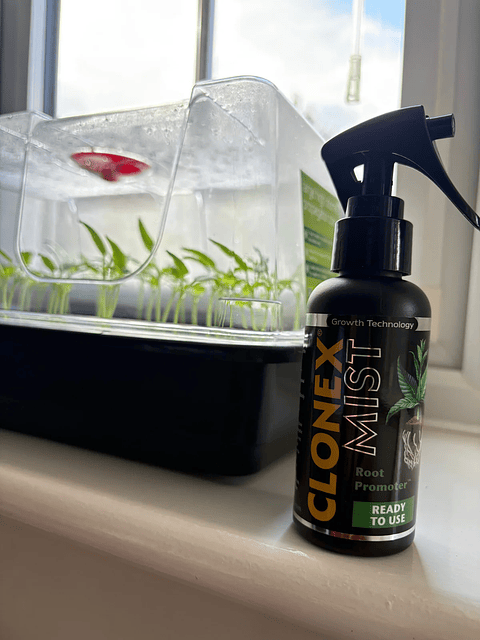 Enraizante Fertilizante Hydrodynamics Clonex Mist 100 ML