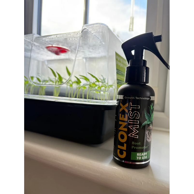 Enraizante Fertilizante Hydrodynamics Clonex Mist 100 ML 2