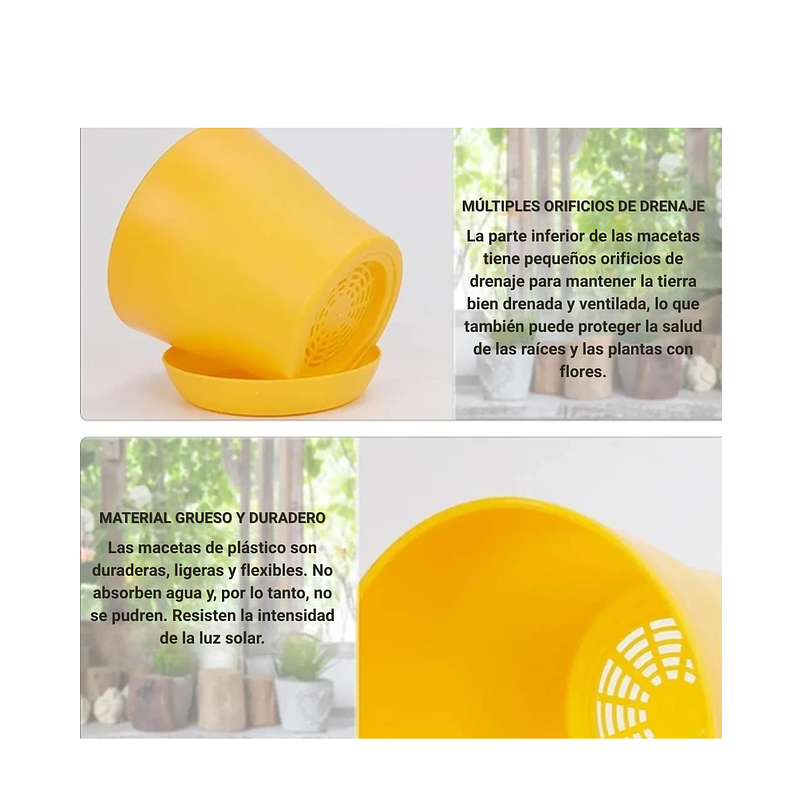 Maceta Plástica Plantas Colores Más Plato 10cm Diámetro x8,5cm Alto 13