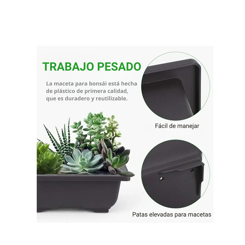 Maceta Plástica Bonsái 16cm Largo x12cm Rectangular Más plato  7