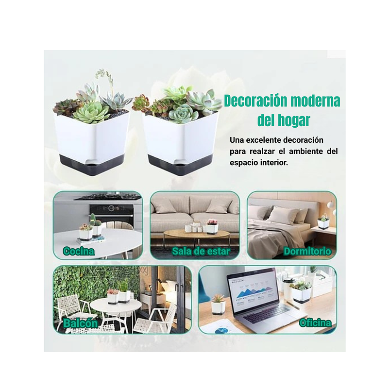 Juego Macetas Plástica x6 Unidades Plantas Cactus y Suculentas 5