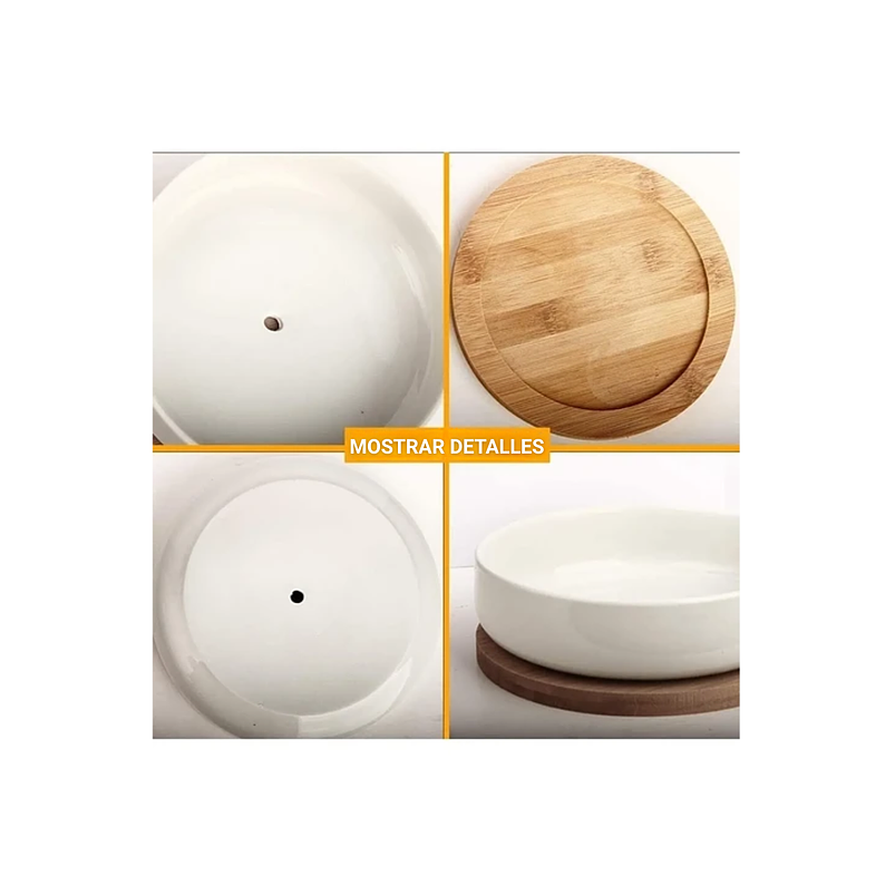 Maceta En Cerámica Suculentas Redonda Más plato En Bambú Premium 10