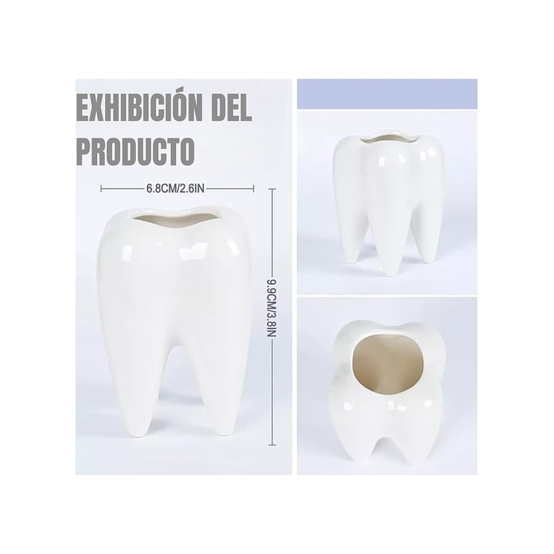 Maceta Cerámica Premium Diente Suculenta 10 centímetros Alto x7cm 3