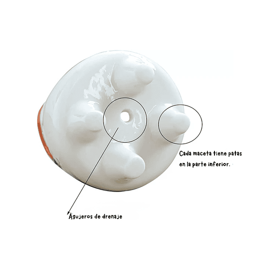 Juego Macetas x8 en Cerámica Premium Diseño Animalitos 7