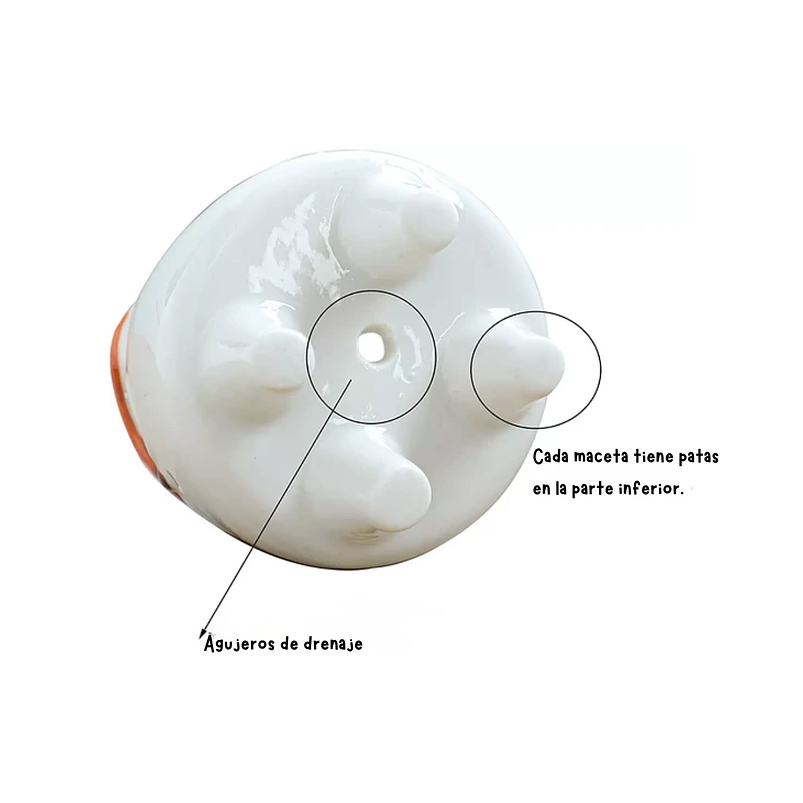 Juego Macetas x8 en Cerámica Premium Diseño Animalitos 7