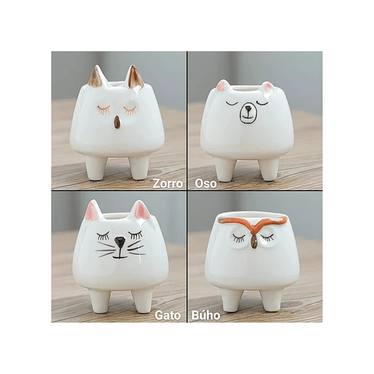 Juego Macetas x8 en Cerámica Premium Diseño Animalitos 3