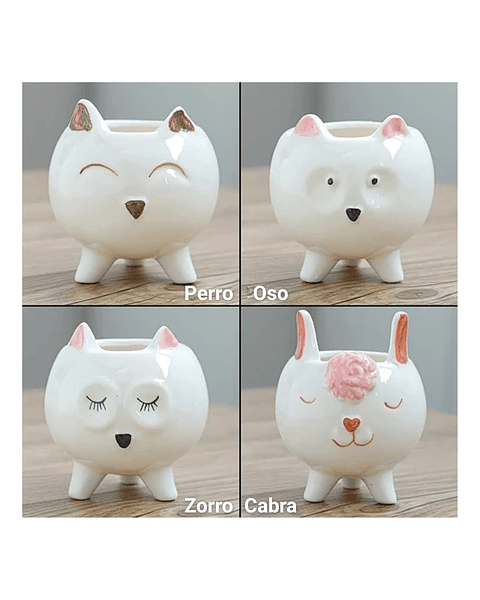 Juego Macetas x8 en Cerámica Premium Diseño Animalitos