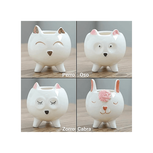 Juego Macetas x8 en Cerámica Premium Diseño Animalitos 2