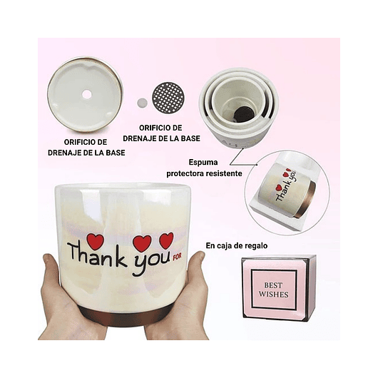 Juego Macetas Cerámica Esmaltada Cactus Suculentas X3 Unid 4