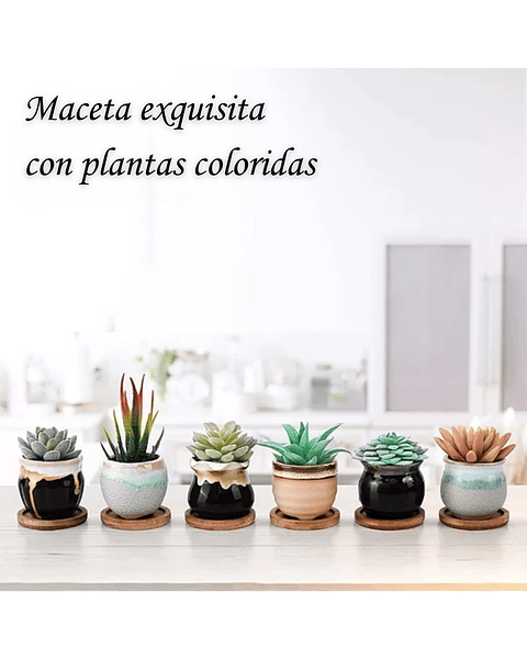 Juego Macetas Cerámica x6 Unidades más plato Bambu Diseño Clasico