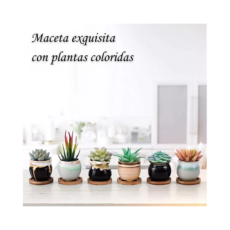 Juego Macetas Cerámica x6 Unidades más plato Bambu Diseño Clasico 2