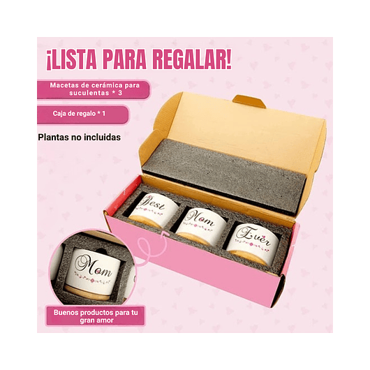 Juego Macetas Cerámica Premium Cactus Suculentas X3unidades 3