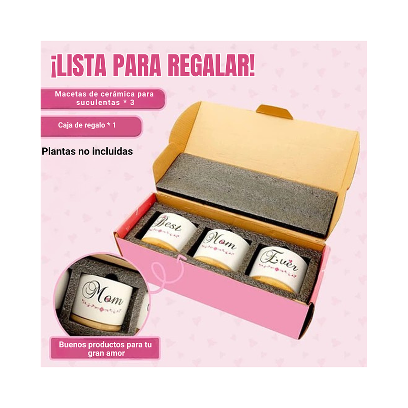 Juego Macetas Cerámica Premium Cactus Suculentas X3unidades 3