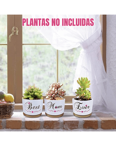 Juego Macetas Cerámica Premium Cactus Suculentas X3unidades