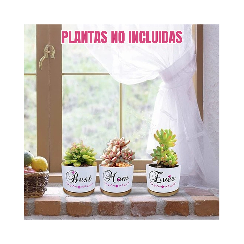Juego Macetas Cerámica Premium Cactus Suculentas X3unidades 2