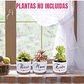Juego Macetas Cerámica Premium Cactus Suculentas X3unidades - Miniatura 2