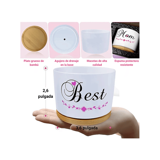 Juego Macetas Cerámica Premium Cactus Suculentas X3unidades 5