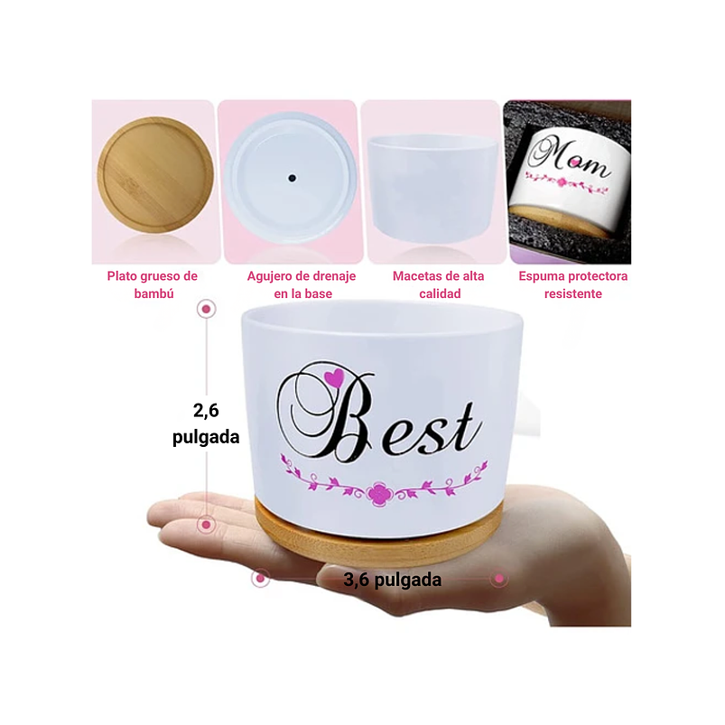 Juego Macetas Cerámica Premium Cactus Suculentas X3unidades 5