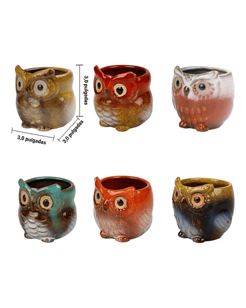 Juego Macetas Cerámica Cactus Suculentas x6 Piezas Diseño Buhos