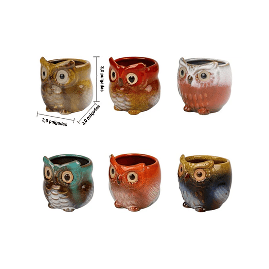 Juego Macetas Cerámica Cactus Suculentas x6 Piezas Diseño Buhos 2