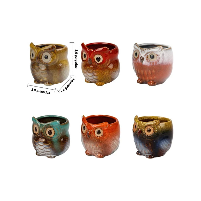 Juego Macetas Cerámica Cactus Suculentas x6 Piezas Diseño Buhos 2