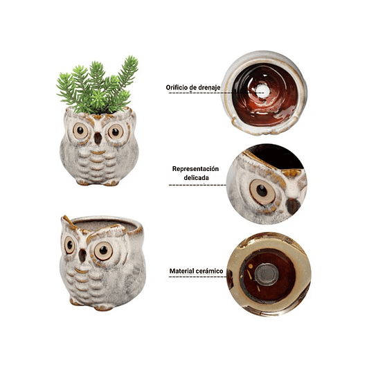 Juego Macetas Cerámica Cactus Suculentas x6 Piezas Diseño Buhos 3