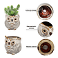 Juego Macetas Cerámica Cactus Suculentas x6 Piezas Diseño Buhos - Miniatura 3