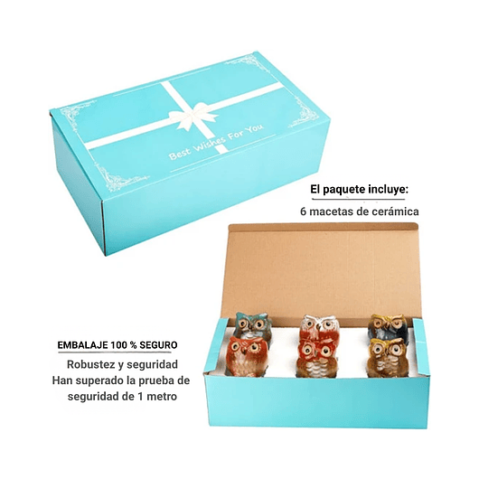 Juego Macetas Cerámica Cactus Suculentas x6 Piezas Diseño Buhos 4