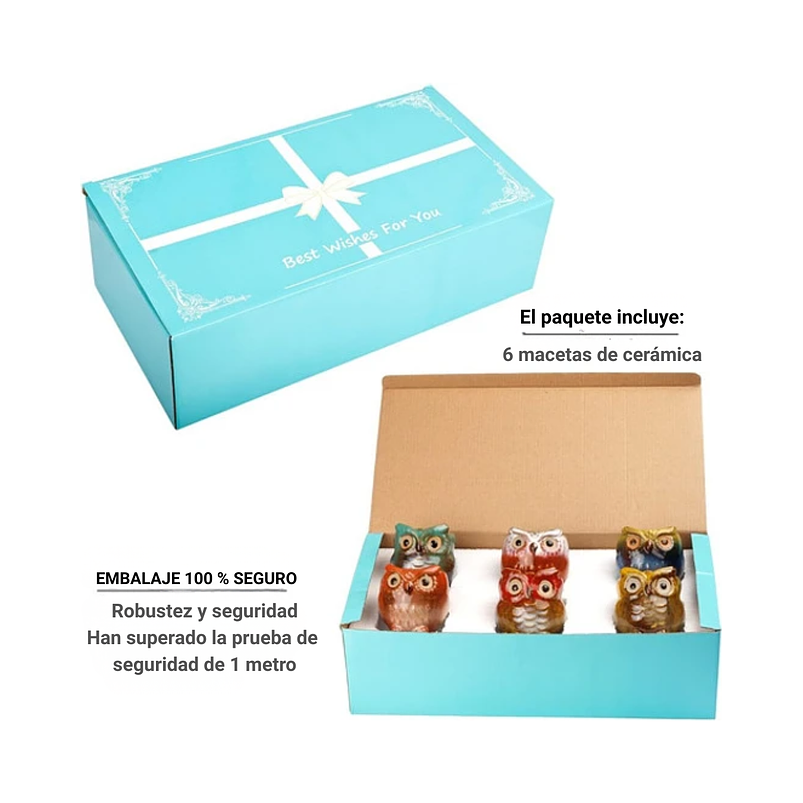 Juego Macetas Cerámica Cactus Suculentas x6 Piezas Diseño Buhos 4