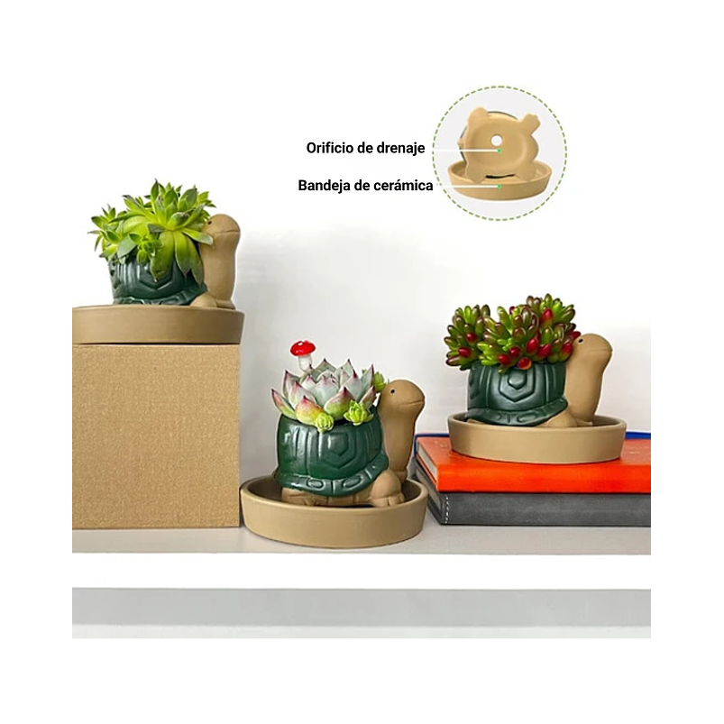 Maceta Cerámica Plantas Cactus y Suculentas x1 Pz Animalitos 6