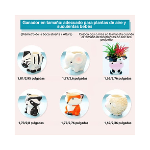 Maceta Diseño Animal X1 Pz