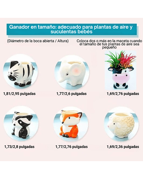 Maceta Diseño Animal X1 Pz