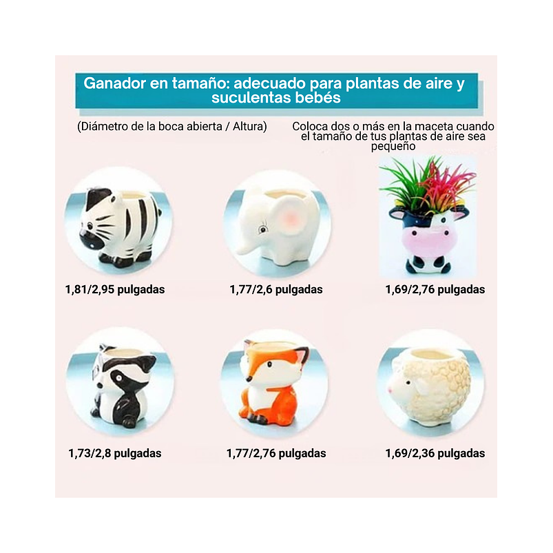 Maceta Diseño Animal X1 Pz 1