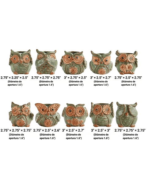 Juego Macetas Cerámica Diseño Buho x10 piezas Cactus Suculentas