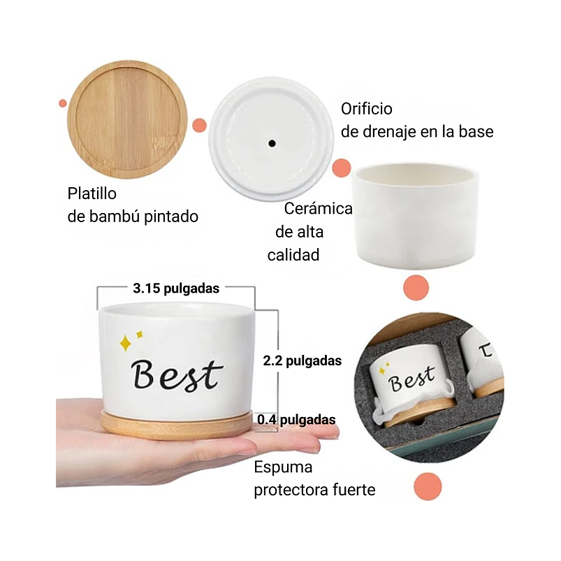 Juego Macetas Cerámica Cactus Suculenta x3 piezas  Diseño Amigos 3