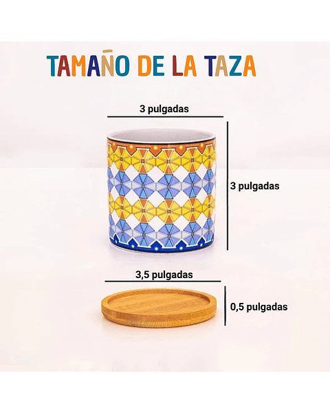 Juego Macetas Cerámica Premium Cactus Y Suculentas x4 Piezas