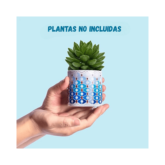 Juego Macetas Cerámica Premium Cactus Y Suculentas x4 Piezas 5