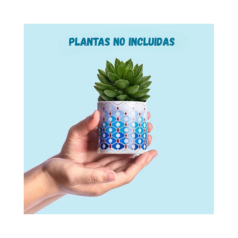 Juego Macetas Cerámica Premium Cactus Y Suculentas x4 Piezas 5