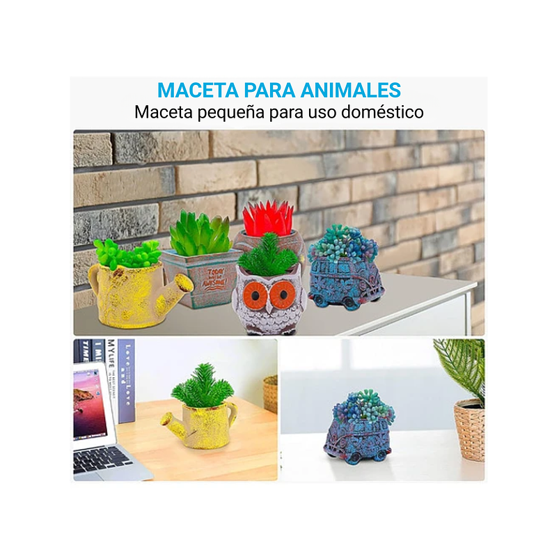 Juego Macetas De Plantas X5 Pz Cerámica Cactus Y Suculentas 5