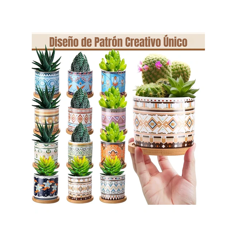 Juego Macetas Cerámica Fina Plantas X 12 Unid Suculentas 3