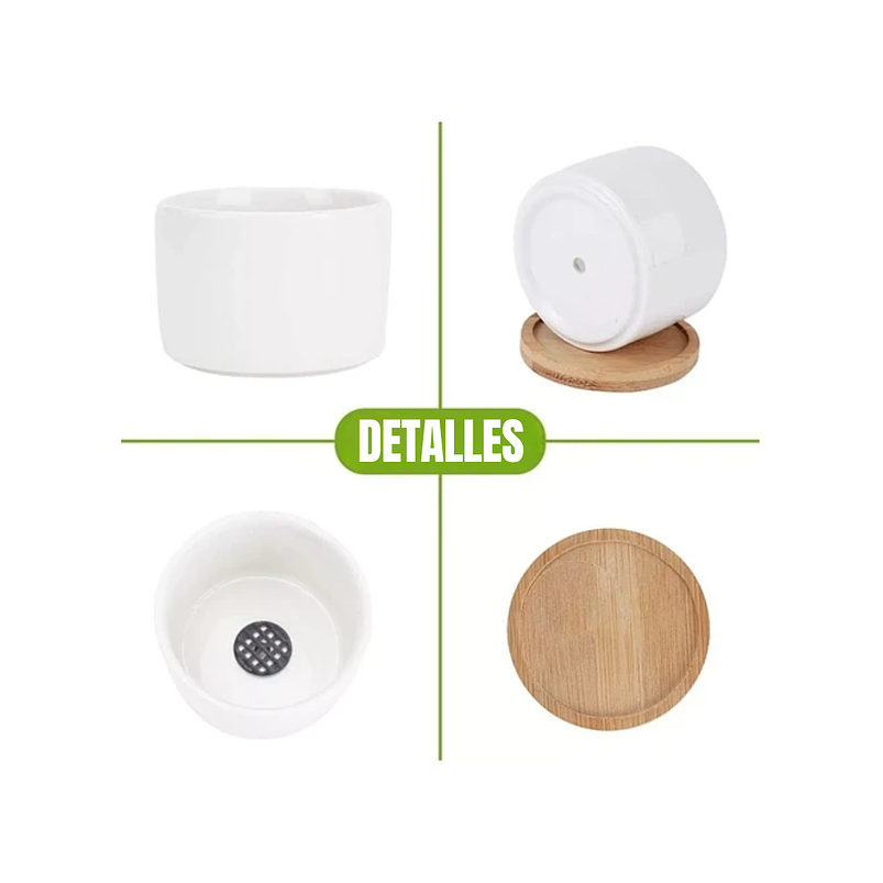 Maceta en Cerámica Premium Blanca más plato Bambu Cactus Suculentas 2