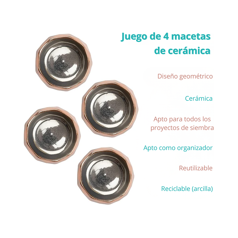 Mini Macetas en Ceramica Para Suculentas Cactus Bonsáis X4 8