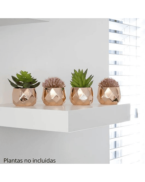 Mini Macetas en Ceramica Para Suculentas Cactus Bonsáis X4