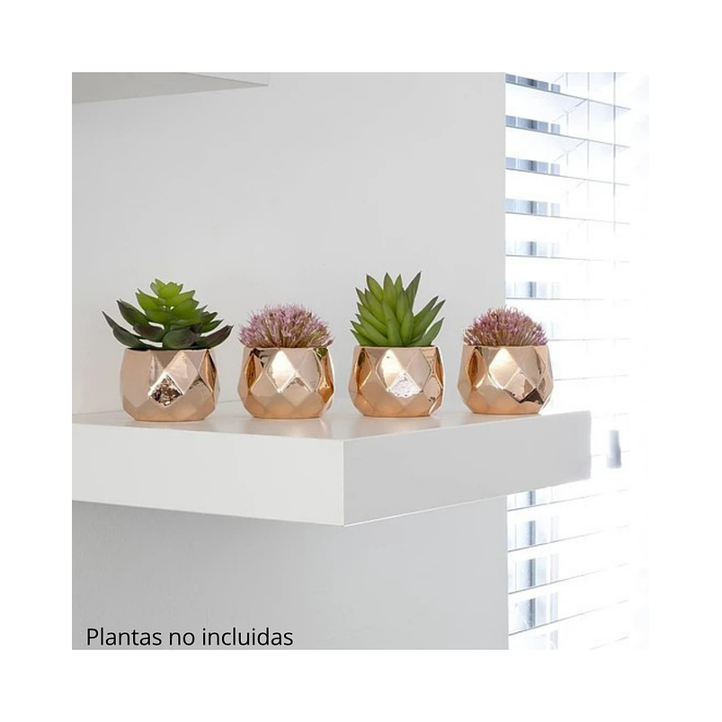 Mini Macetas en Ceramica Para Suculentas Cactus Bonsáis X4 2
